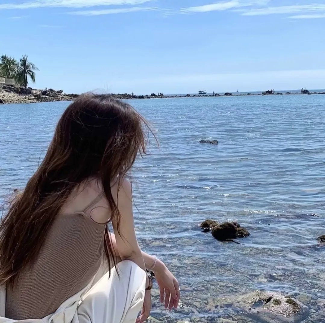 飘扬，共和国的旗帜 海报