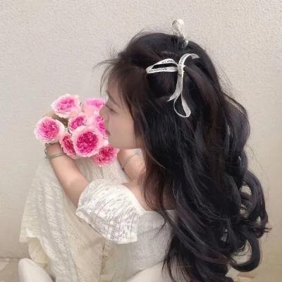 青春海滩宾果 海报